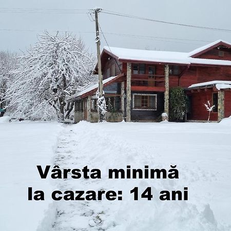 Casa Bunicului Βίλα Vistisoara Εξωτερικό φωτογραφία
