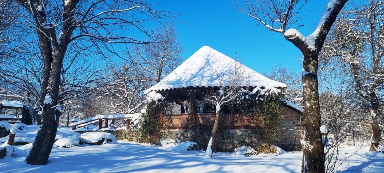 Casa Bunicului Βίλα Vistisoara Εξωτερικό φωτογραφία