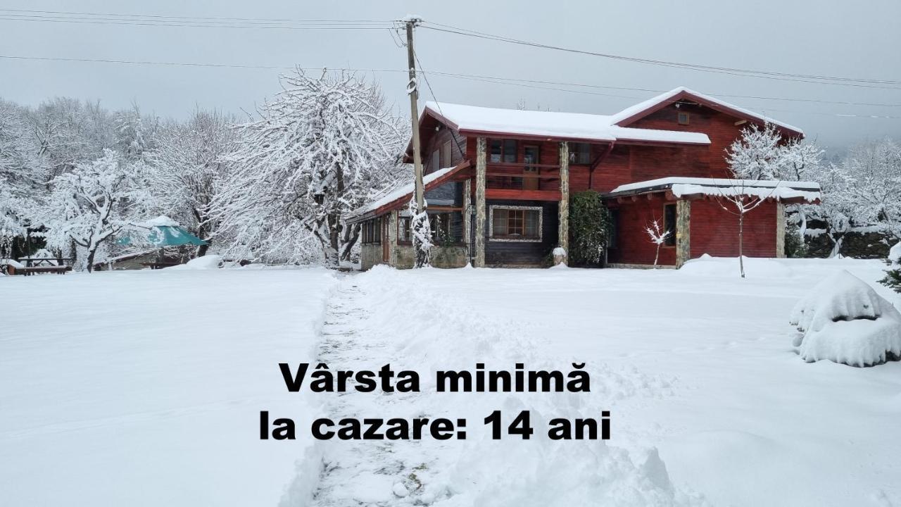 Casa Bunicului Βίλα Vistisoara Εξωτερικό φωτογραφία