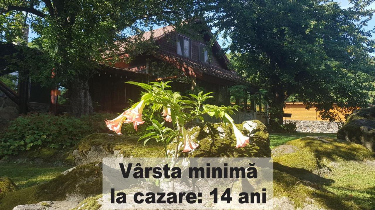 Casa Bunicului Βίλα Vistisoara Εξωτερικό φωτογραφία