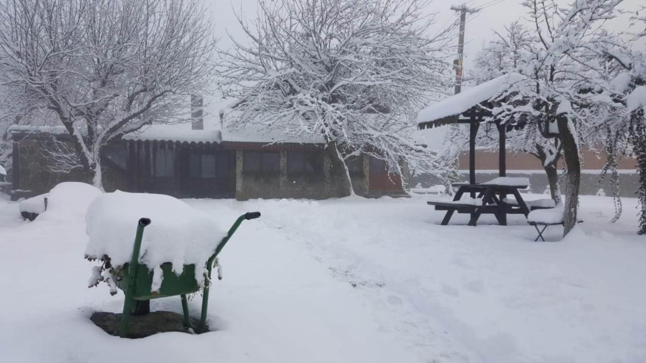 Casa Bunicului Βίλα Vistisoara Εξωτερικό φωτογραφία