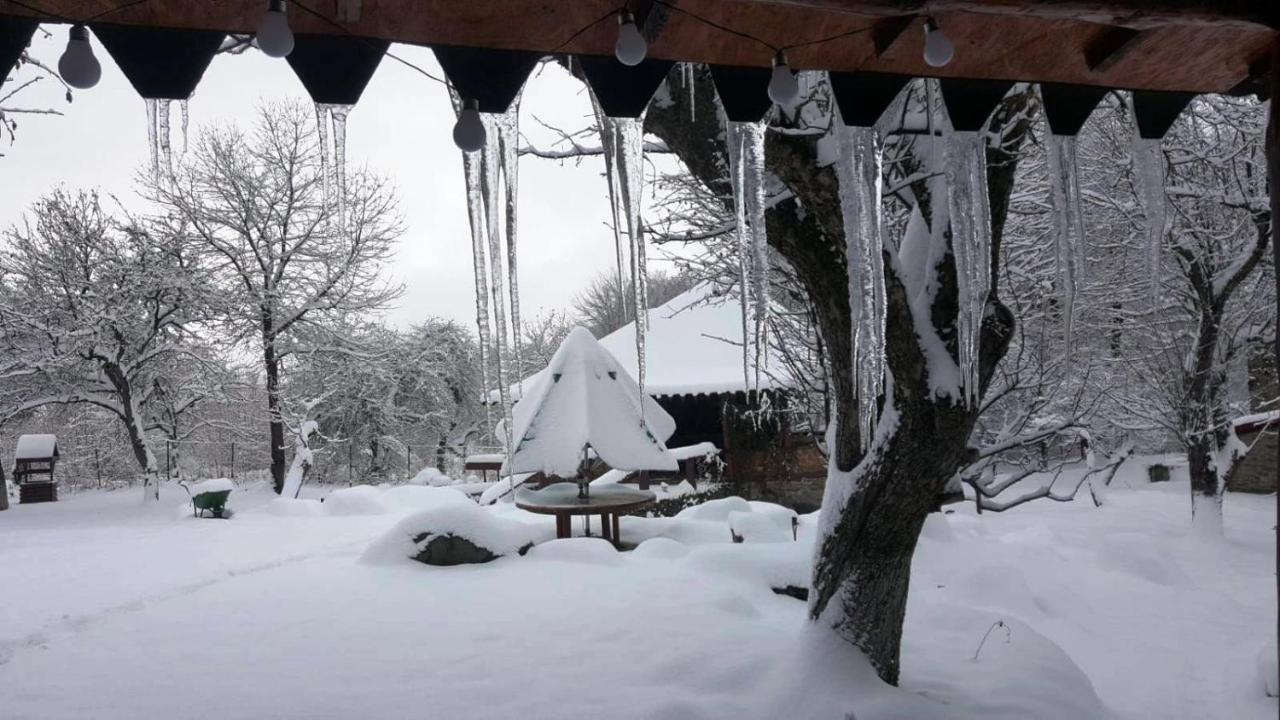 Casa Bunicului Βίλα Vistisoara Εξωτερικό φωτογραφία