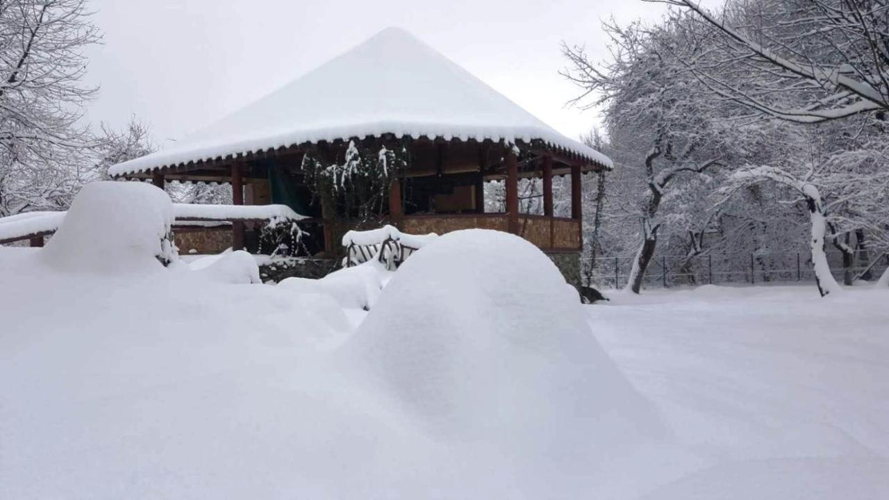 Casa Bunicului Βίλα Vistisoara Εξωτερικό φωτογραφία