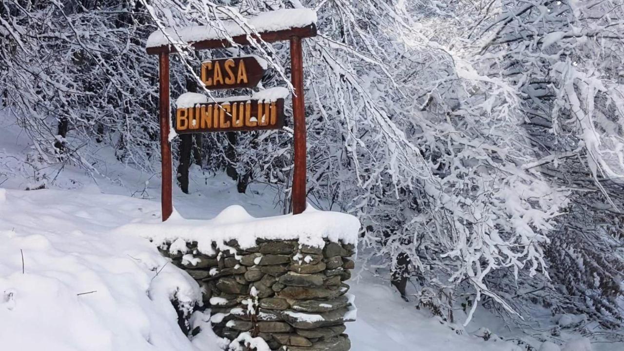 Casa Bunicului Βίλα Vistisoara Εξωτερικό φωτογραφία