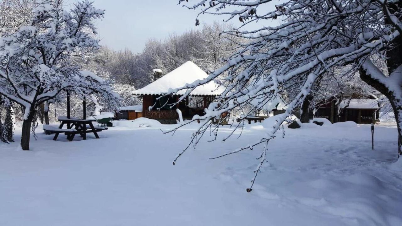 Casa Bunicului Βίλα Vistisoara Εξωτερικό φωτογραφία